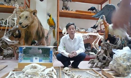 PGS Phạm Văn Lực trong căn phòng chật ních các hiện vật Ảnh: Mỹ Hằng