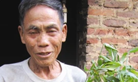 Thầy lang nức tiếng chữa sỏi thận bằng lá cây tươi