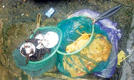 Đánh cược mạng sống với nghề 'ăn mứt'