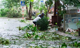 Đà Nẵng sau cơn cuồng phong bão số 9: Mỗi người một tay dọn dẹp cảnh ngổn ngang