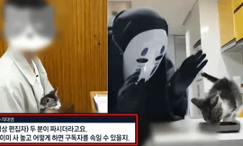 YouTuber xứ Hàn bị tố nhốt chó, bỏ đói mèo, hành hạ hamster đến chết khiến netizen phẫn nộ