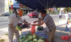 Hàng chục tấn nông sản Hải Dương được người dân Đà Nẵng chung tay “giải cứu“