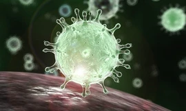 Chủng virus tìm thấy ở bệnh nhân Đà Nẵng là chủng mới, dịch đã âm thầm từ đầu tháng 7?