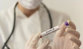 BN420 đã đi chợ lớn nhất Đà Nẵng, vào TP.HCM thăm con và tiếp họ hàng ở Quảng Nam