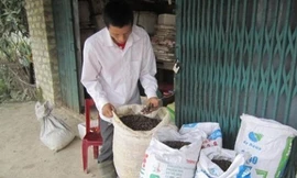 Thương lái Trung Quốc mua đủ thứ lạ đời