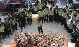 Lần đầu vinh danh người bảo vệ thú quý