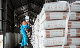 Lợi nhuận Vicem 'lao dốc' thấp nhất trong 7 năm