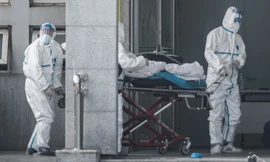 Số người chết vì virus corona Vũ Hán toàn thế giới đã lên đến con số 55