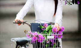 Chia tay nhé, bằng lăng ơi…