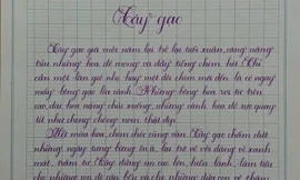 Dân mạng tranh luận với chữ đẹp của học sinh cấp 1