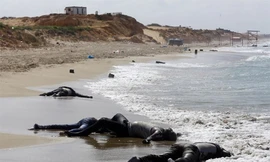 Chìm tàu ở Libya, hàng trăm người di cư thiệt mạng