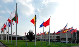 Ukraine và Georgia có cơ hội gia nhập NATO