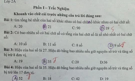 Đề Toán lớp 2 khiến người lớn 'điên đầu'