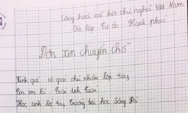 Đơn xin chuyển chỗ gần 'người yêu' của học sinh lớp 4