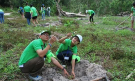 Nâng cao kỹ năng phòng chống thiên tai cho HSSV