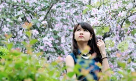 Vương vấn mùa hoa trắng tháng ba