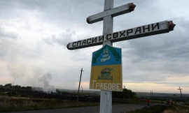 Mỹ yêu cầu đình chiến để điều tra tai nạn máy bay