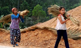 Hàng trăm học sinh chưa đến lớp sau Tết