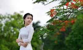 Nữ sinh Kinh tế mộng mơ bên phượng hồng rực đỏ