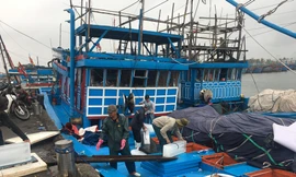 Cảng cá lớn nhất miền Trung hối hả ra khơi đầu năm