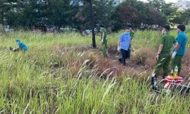 Đà Nẵng: Phát hiện thi thể cháy đen trong bụi cỏ