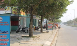 Đà Nẵng chỉ đạo xử lý đối tượng tung tin thất thiệt gây 'sốt' đất ảo