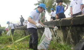 Thứ trưởng Bộ TN&MT cùng hàng trăm bạn trẻ dọn rác bờ biển