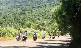 Liên tiếp tai nạn, Đà Nẵng lắp biển cảnh báo trên bán đảo Sơn Trà