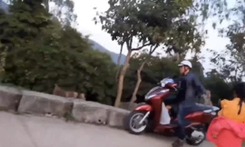 Đàn khỉ kêu gào đuổi theo người đàn ông bắt khỉ con trên bán đảo Sơn Trà