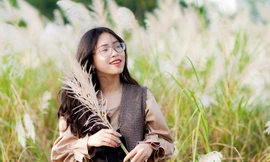 Nô nức check-in Đà Nẵng mùa cỏ lau