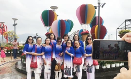 Đường hoa xuân Đà Nẵng hút nhiều ‘hội bạn tóc bạc’ đến sớm