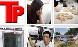 Bản tin Hình sự 18H: Đang ngồi chơi trước nhà, bất ngờ bị giang hồ truy sát