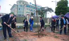 Tổ chức “Chiến dịch Tết trồng cây” trong khuôn viên Đại học Khoa học – Đại học Thái Nguyên.