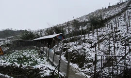 Núi rừng khu vực thác Bạc và đèo Ô Quy Hồ tuyết đã phủ trắng. Ảnh: Báo Lào Cai.