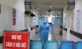 Đà Nẵng phát hiện một trường hợp nghi mắc đậu mùa khỉ