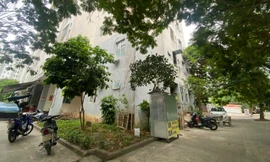 Vụ học sinh lớp 6 nhảy lầu ở Đà Nẵng: Nạn nhân qua cơn nguy kịch, lúc tỉnh gọi được 'mẹ ơi'