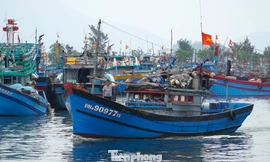 Đà Nẵng xử phạt vi phạm IUU gần 10 tỷ đồng, tước nhiều chứng chỉ thuyền trưởng