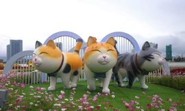 Đà Nẵng tặng linh vật mèo cho các trường mầm non vùng xa