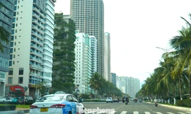 Một khách sạn ven biển Đà Nẵng bị phạt hơn 500 triệu đồng