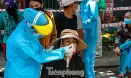 Nhân viên massage vào mua heo nhựa, Đà Nẵng xét nghiệm COVID-19 cả chợ