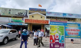 Các trường hợp dương tính đã đến những chợ nào ở Đà Nẵng?