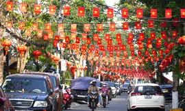 Người dân Đà Nẵng góp tiền làm những con đường rực sắc Tết