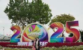 Đà Nẵng mời tác giả 'hoa hậu mèo' từng gây sốt làm linh vật Tết Ất Tỵ