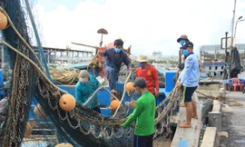 Tàu cá miền Trung rộn ràng chuẩn bị ra khơi