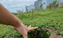 Chi chít hố trụ bê tông 'giăng bẫy' trên bãi đất trống ở Đà Nẵng