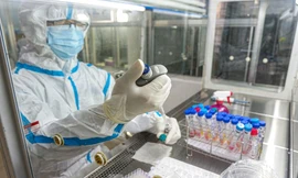 Các đối tượng F1 tại Đà Nẵng sẽ 'phải qua' 4 lần xét nghiệm SARS-CoV-2