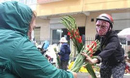 Người dân Đà Nẵng giải cứu hàng ngàn bó hoa lay ơn