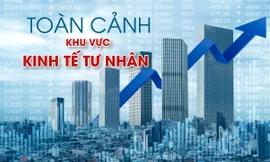 Cuộc 'đại phẫu' lịch sử tạo sức bật mạnh mẽ cho kinh tế tư nhân