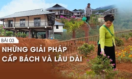 Nỗi lo 'Sơn thần' nổi giận - Bài 3: Những giải pháp cấp bách và lâu dài