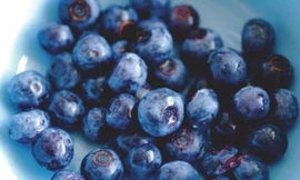 Ảnh minh họa: Internet